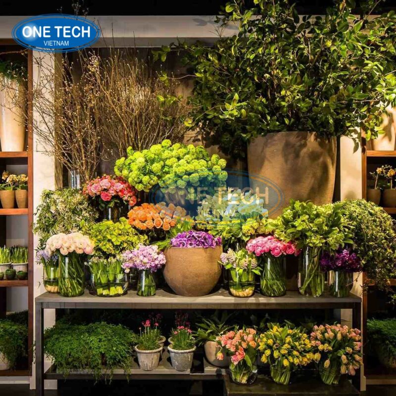 Ke sat de chau hoa ngoai troi One Tech