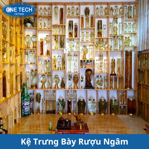 Nên chọn kệ có kích thước phù hợp với không gian