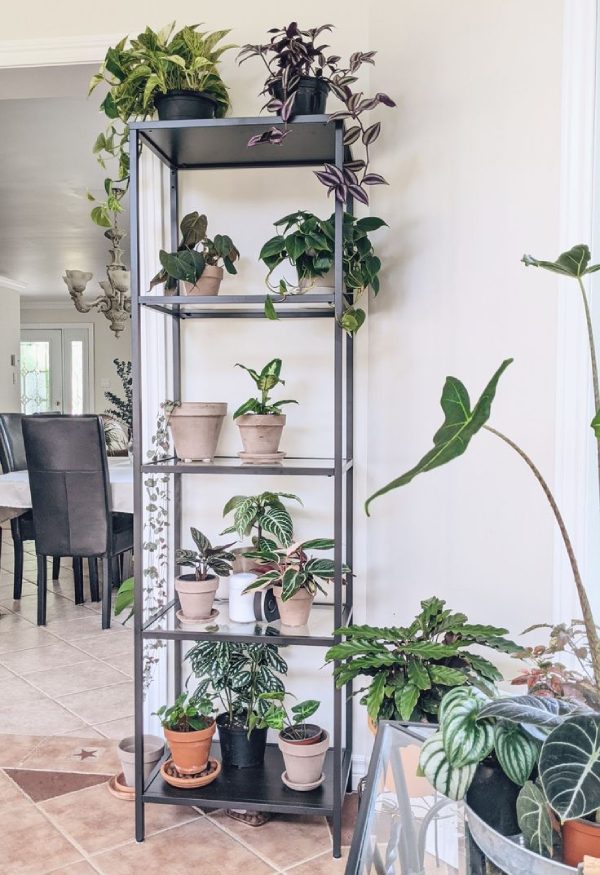 Kệ hoa bằng sắt để ngoài trời