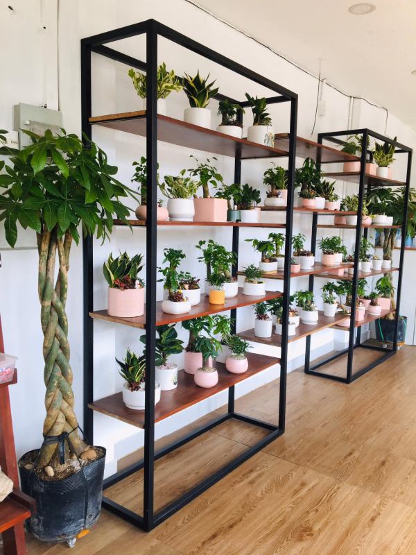 Mẫu kệ mâm gỗ khung sắt để chậu hoa cây cảnh