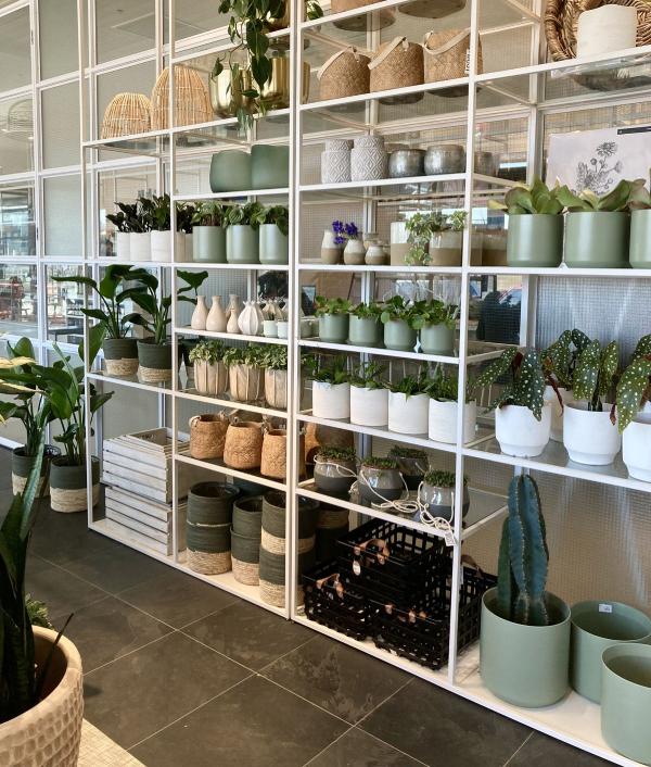 Mẫu kệ sắt để chậu hoa đặt trong nhà