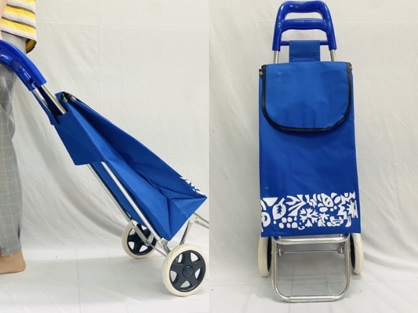 xe keo di sieu thi re dep