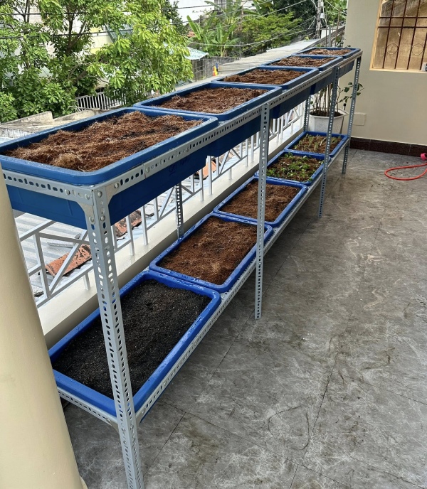 ke v lo trong cay ban cong 3