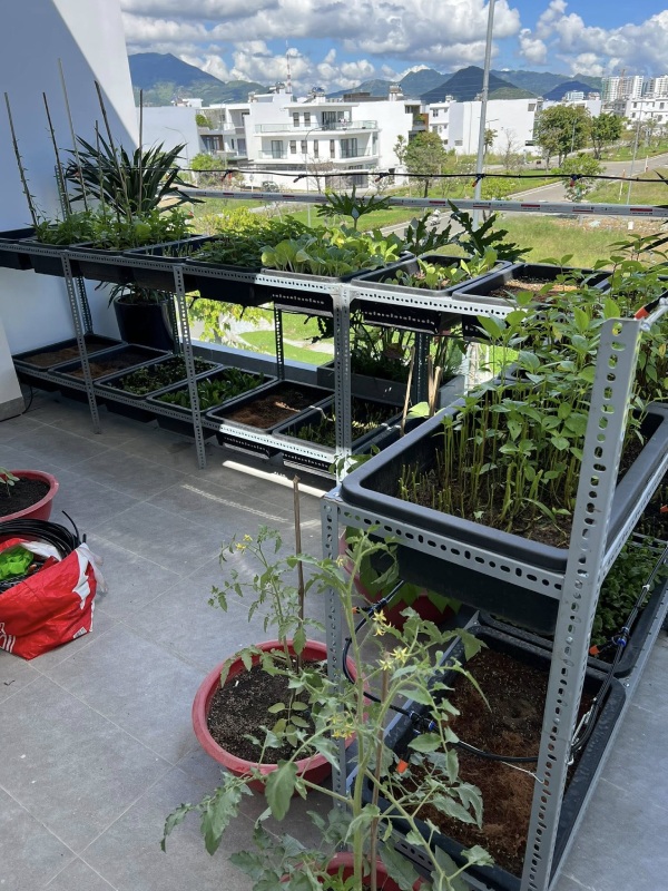 ke v lo trong cay ban cong 4