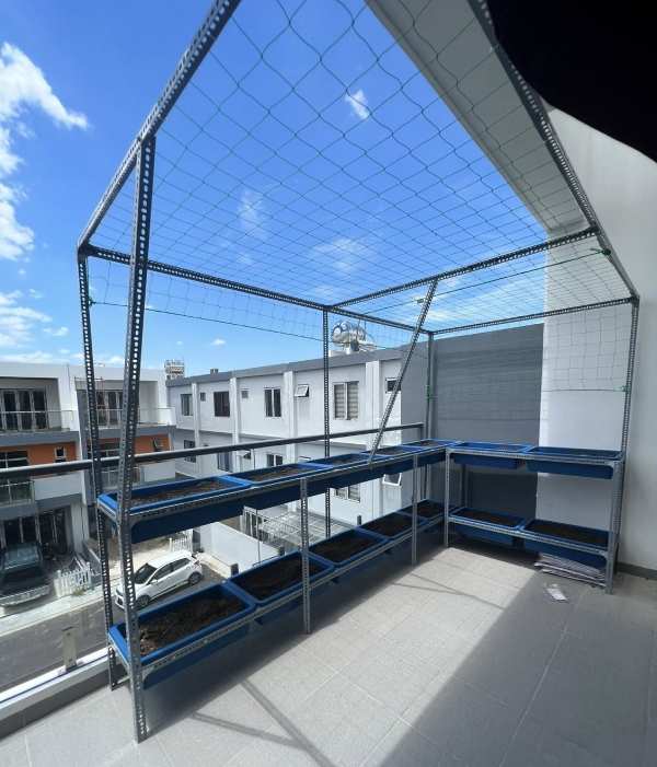 ke v lo trong cay ban cong 7